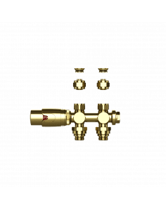 Thermostatische radiatorkraan muur en vloer geborsteld goud m30